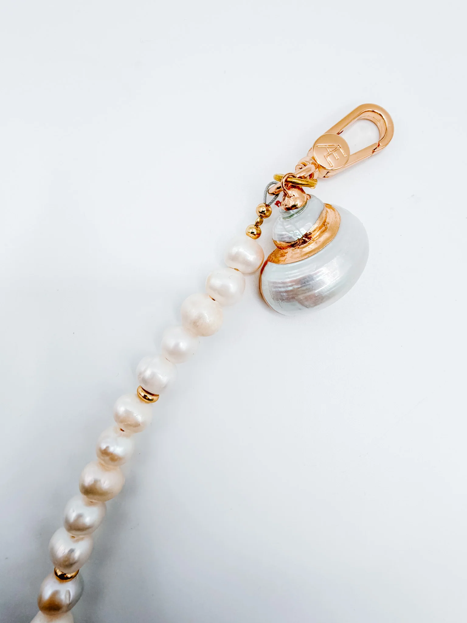 Latte + Shell (Multi-Wear) Set - Image 6